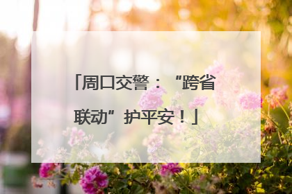 周口交警：“跨省联动”护平安！