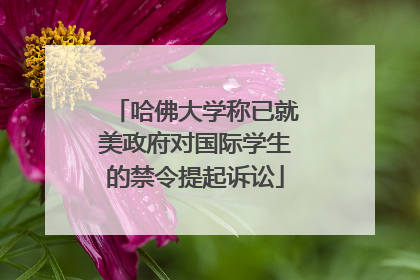 哈佛大学称已就美政府对国际学生的禁令提起诉讼