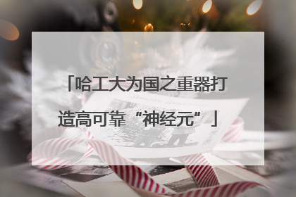哈工大为国之重器打造高可靠“神经元”