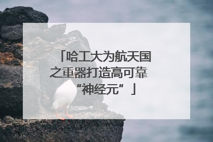 哈工大为航天国之重器打造高可靠“神经元”