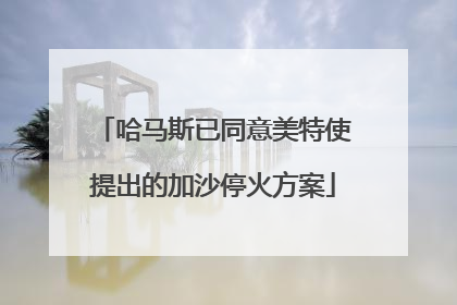 哈马斯已同意美特使提出的加沙停火方案