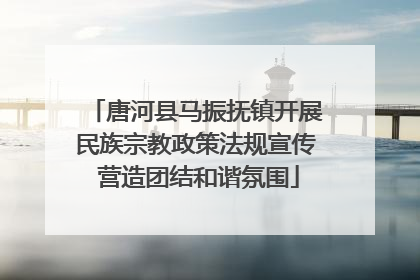 唐河县马振抚镇开展民族宗教政策法规宣传 营造团结和谐氛围