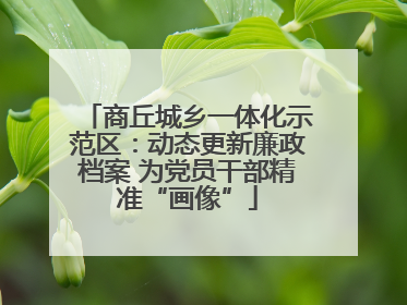 商丘城乡一体化示范区：动态更新廉政档案 为党员干部精准“画像”
