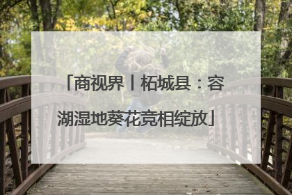 商视界丨柘城县：容湖湿地葵花竞相绽放