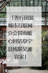 善行团盐城市互联网分会冒雨暖心回访阜宁县残联吴滩宜家