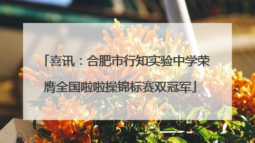 喜讯：合肥市行知实验中学荣膺全国啦啦操锦标赛双冠军
