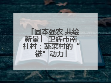 固本强农 共绘新景 ︳卫辉市南社村：蔬菜村的“链”动力
