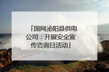 国网泌阳县供电公司：开展安全宣传咨询日活动