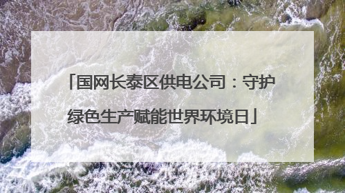 国网长泰区供电公司：守护绿色生产赋能世界环境日