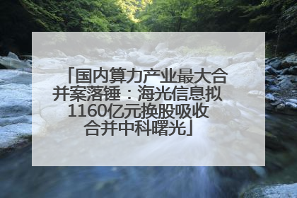 国内算力产业最大合并案落锤：海光信息拟1160亿元换股吸收合并中科曙光