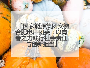 国家能源集团安徽合肥电厂团委：以青春之力践行社会责任与创新担当