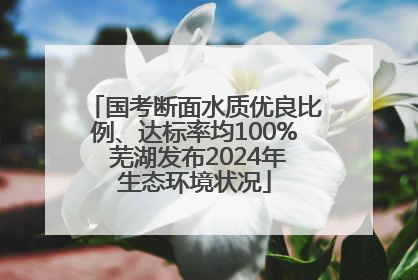 国考断面水质优良比例、达标率均100% 芜湖发布2024年生态环境状况