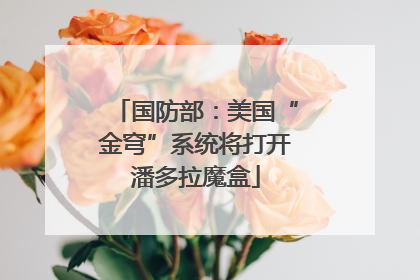 国防部：美国“金穹”系统将打开潘多拉魔盒