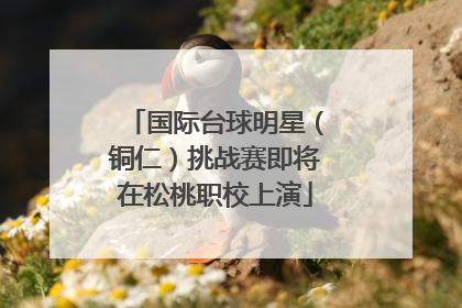 国际台球明星（铜仁）挑战赛即将在松桃职校上演