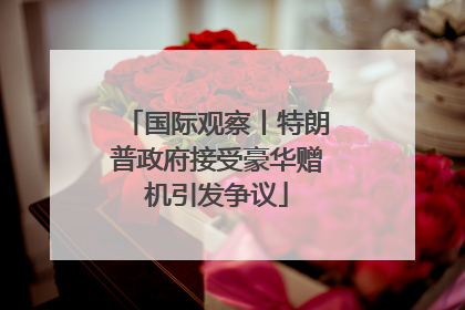 国际观察丨特朗普政府接受豪华赠机引发争议