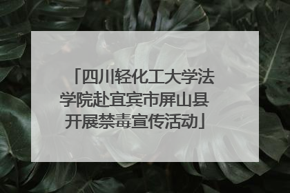 四川轻化工大学法学院赴宜宾市屏山县开展禁毒宣传活动