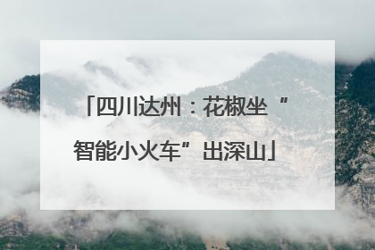 四川达州：花椒坐“智能小火车”出深山
