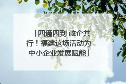四通四到 政企共行！福建这场活动为中小企业发展赋能