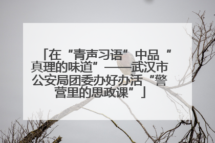 在“青声习语”中品“真理的味道”——武汉市公安局团委办好办活“警营里的思政课”