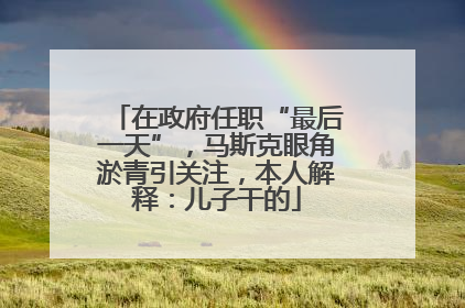 在政府任职“最后一天”，马斯克眼角淤青引关注，本人解释：儿子干的