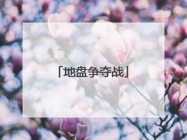地盘争夺战