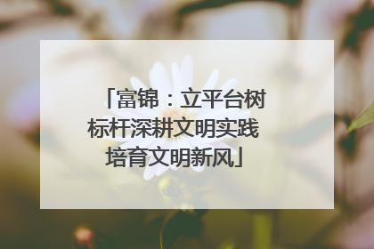 富锦：立平台树标杆深耕文明实践培育文明新风