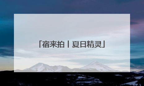 宿来拍丨夏日精灵