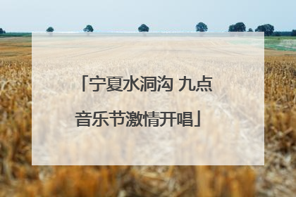宁夏水洞沟 九点音乐节激情开唱