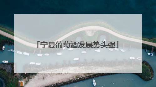 宁夏葡萄酒发展势头强