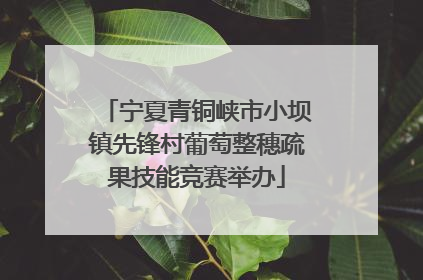 宁夏青铜峡市小坝镇先锋村葡萄整穗疏果技能竞赛举办