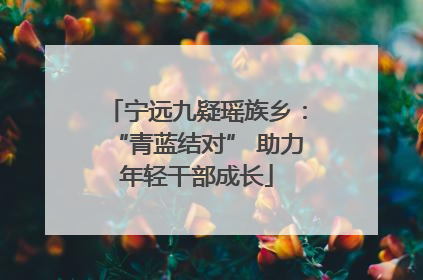 宁远九疑瑶族乡：“青蓝结对” 助力年轻干部成长