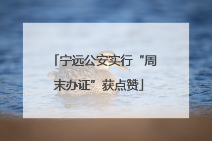 宁远公安实行“周末办证”获点赞