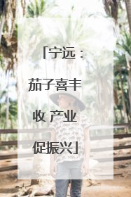 宁远：茄子喜丰收 产业促振兴
