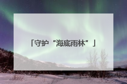 守护“海底雨林”