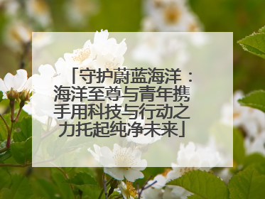 守护蔚蓝海洋：海洋至尊与青年携手用科技与行动之力托起纯净未来