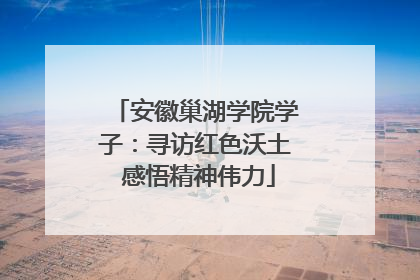 安徽巢湖学院学子：寻访红色沃土 感悟精神伟力
