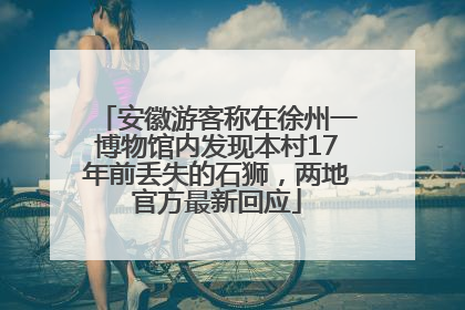 安徽游客称在徐州一博物馆内发现本村17年前丢失的石狮，两地官方最新回应