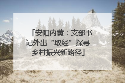 安阳内黄：支部书记外出“取经”探寻乡村振兴新路径