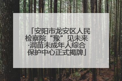 安阳市龙安区人民检察院“豫”见未来·润苗未成年人综合保护中心正式揭牌