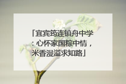 宜宾筠连镇舟中学：心怀家国粽中情，米香漫溢求知路
