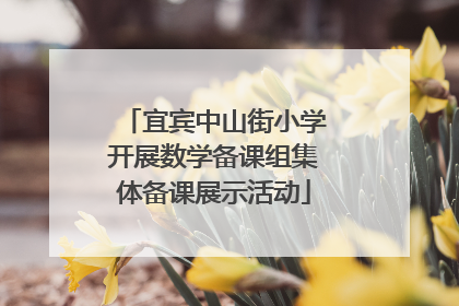 宜宾中山街小学开展数学备课组集体备课展示活动