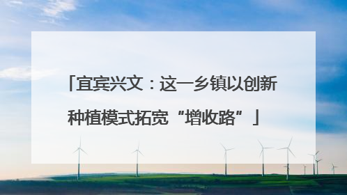 宜宾兴文：这一乡镇以创新种植模式拓宽“增收路”