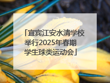 宜宾江安水清学校举行2025年春期学生球类运动会