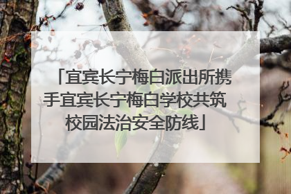 宜宾长宁梅白派出所携手宜宾长宁梅白学校共筑校园法治安全防线