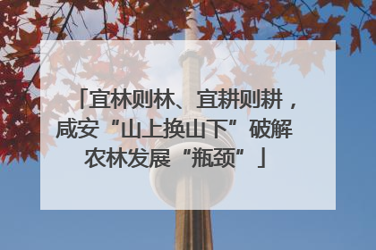 宜林则林、宜耕则耕，咸安“山上换山下”破解农林发展“瓶颈”
