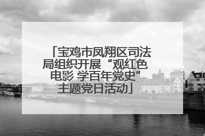 宝鸡市凤翔区司法局组织开展“观红色电影 学百年党史”主题党日活动