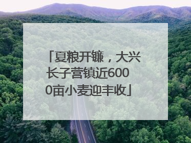 夏粮开镰，大兴长子营镇近6000亩小麦迎丰收