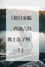 夏日来临，西湖六月黄上市了吗？