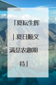 夏耘生辉｜夏日顺义满是农趣期待