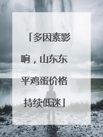多因素影响，山东东平鸡蛋价格持续低迷